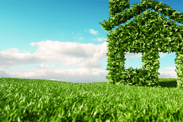 How to make your home more eco friendly in 2022!